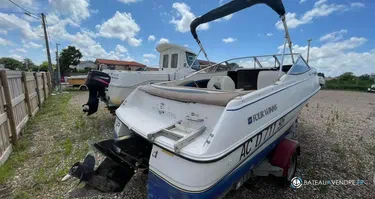 Four Winns Sundowner 195