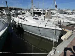B2 Marine Djinn 7
