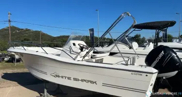White Shark  226