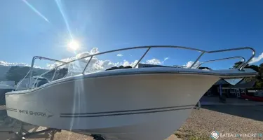 White Shark  226