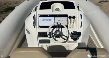 Black Fin Elegance 10