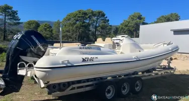 Black Fin Elegance 10