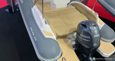 Salpa Soleil 20