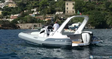 Salpa Soleil 28