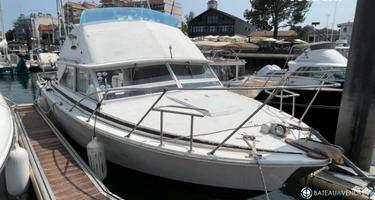 Bertram  28 Flybridge