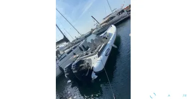 Miss Cat Performance  1100 Raid