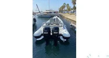 Miss Cat Performance  1100 Raid