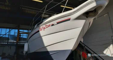 Sealine Ambassador 290
