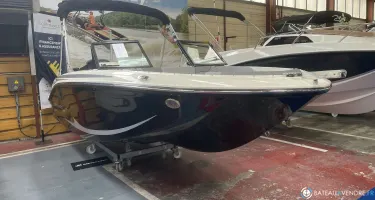 Bayliner Element M17