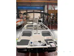 Bayliner Element M17