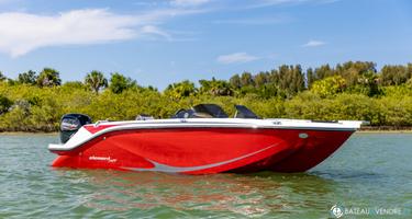 Bayliner M19