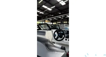 Bayliner M19