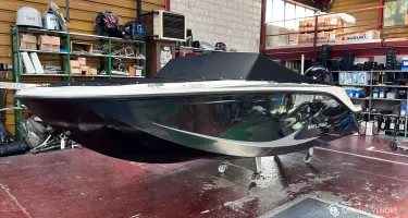 Bayliner M19