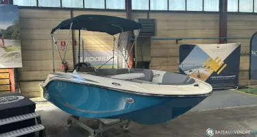 Bayliner Element M15