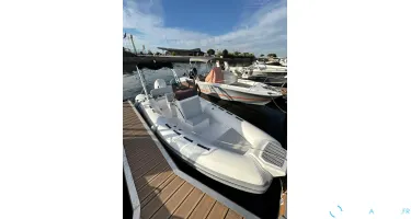 Tiger Marine Pro Line 550