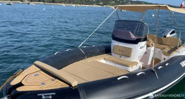 Salpa Soleil 23