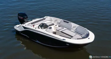 Bayliner Element M15
