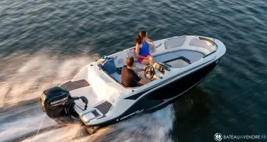Bayliner Element M15
