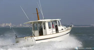 Rhea  800 Timonier