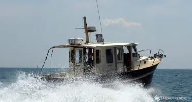 Rhea  850 Timonier