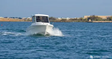 Mingolla Marlin 18