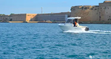 Mingolla Marlin 18