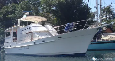 Island Gypsy  49