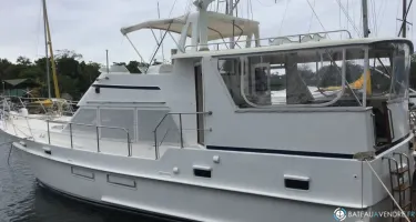 Island Gypsy  49