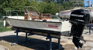 Boston Whaler  17 Montauk