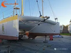 Erik Lerouge Ambercat 110