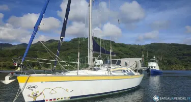 Alliaura Marine Feeling 39 Di