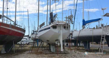 Amateur Reve Des Tropiques