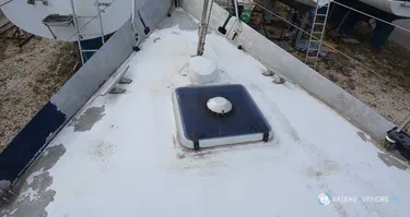 Amateur Reve Des Tropiques