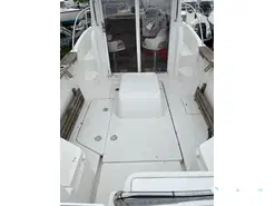 Arvor  210