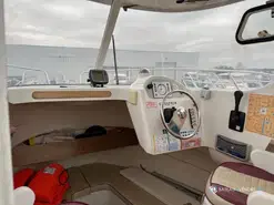 Arvor  210