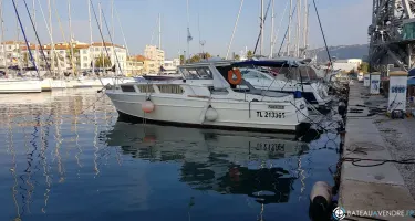 Polyboat Polyflash