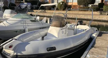 Silver Phoenix 610