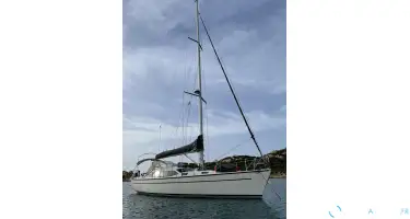 Dehler  41