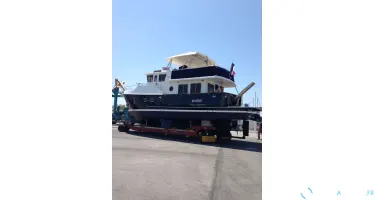 Selene  43