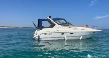 Cranchi Smeraldo 36