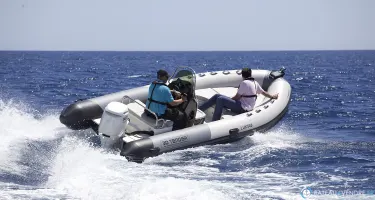 3D Tender Dream 550
