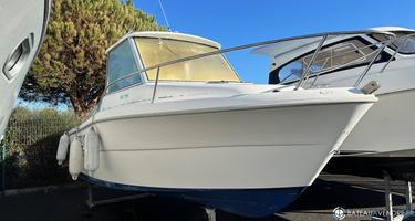 Sessa Marine Ocean 550