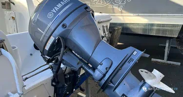 Sessa Marine Ocean 550