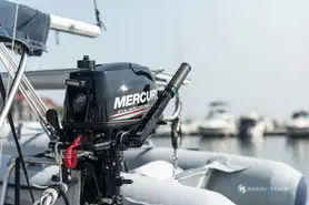 Moteur Mercury 6 cv 