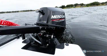 Moteur Mercury 9.9 cv efi