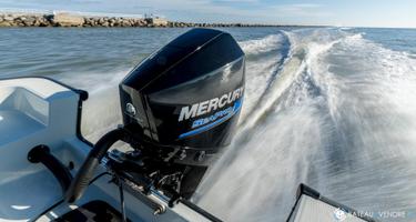 Mercury 200 CV V6 Sea Pro