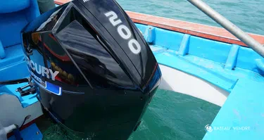 Moteur Mercury 200 cv V6 Sea Pro