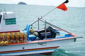 Moteur Mercury 300 CV Sea Pro Cms
