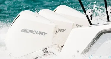 Mercury 300 CV V8 Sea Pro Cms