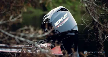 Moteur Mercury 60 cv efi